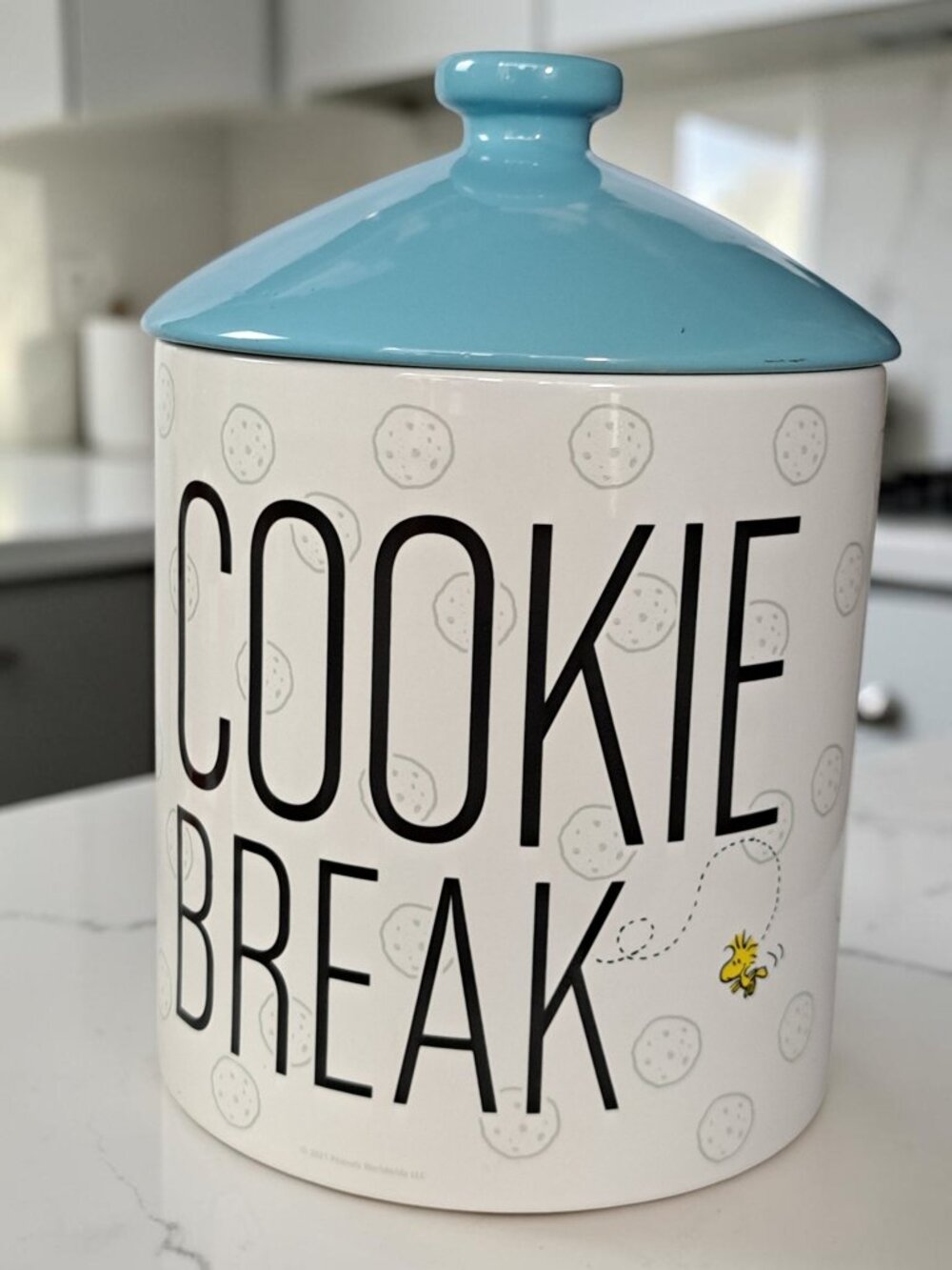 Zak! Peanuts Snoopy Woodstock Large Ceramic Cookie Break Cookie Jar